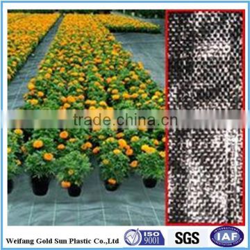 Hot selling ! pp woven plastic ground cover mat