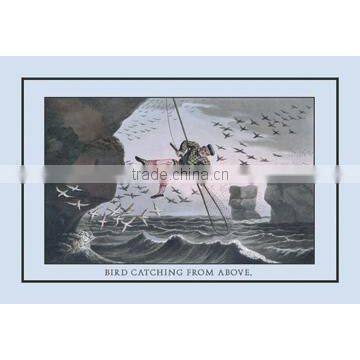 Bird Catching From Above 20x30 poster