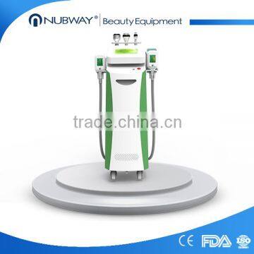 Non Invasive Body Slimming Machine 2 Handpiece Cryolipolisis Fat Freezing Machine