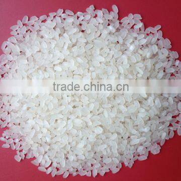 round rice short grain rice / fragrant rice exporter