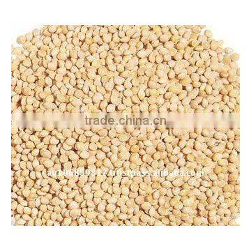 Australian organic white french millet