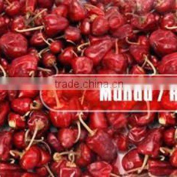 Round Red Chilles From Paramakudi photo-4