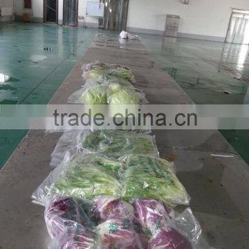 Fresh Radicchio photo-5