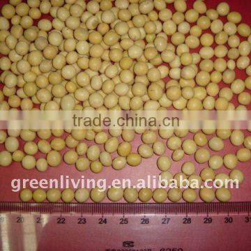 2011 chinese super quality soybean (lowest price)