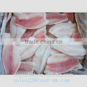 China frozen tilapia fillet price