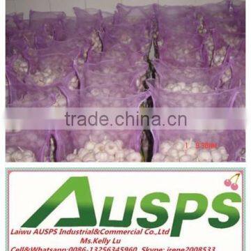 China Fresh Yellow Holland Potato