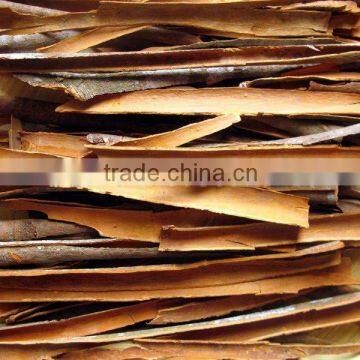 Vietnam Split Cinnamon, Cassia thin, high oil content, good moisture, reddish color - Cheap price!