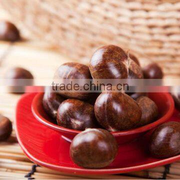 Chinese Best Quality Fresh Chestnuts 2013 Crop photo-2