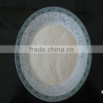 DRIED ONION POWDER