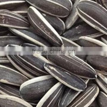 Inner Mongolia black sunflower seeds 5009