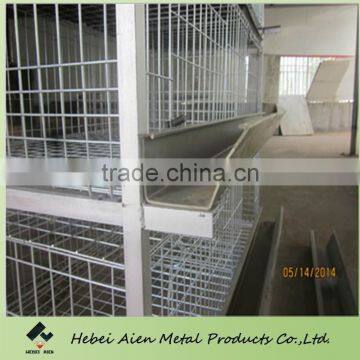 H Type and A Type Broiler Battery Cage photo-4