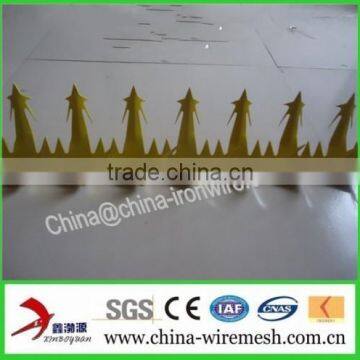Barbed Nails / Anti-climb Spikes/ Security Spikes (factory ) photo-2