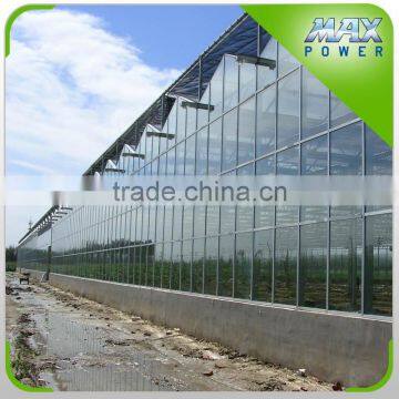 High Quality Multi-Span Agricultural Glass Greenhouses