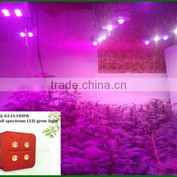 Full Spectrum Indoor Grow Lights 300w Cob Led Indoor Garden Lights photo-5