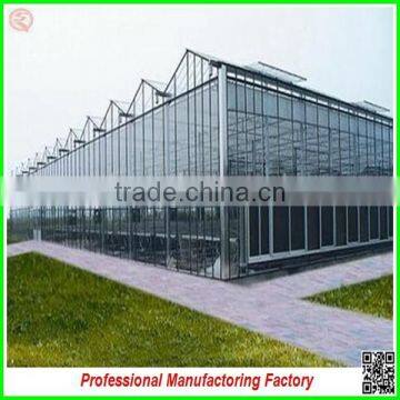 Hot-dip galvanized steel structure large span greenhouses with manufacturer