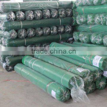 100% Virgin Scaffolding Net /Debris Netting / Safety Net