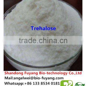 Hot Sale Trehalose in Egyp Ireland t Marketing photo-5