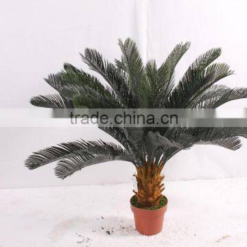 SJ300915 Decorative Cycas Revoluta Tree/artificial Cycas Revoluta Bonsai Plant