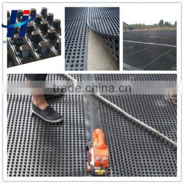 HDPE Drainage Board With Dimples for Roadbed Drainage Material photo-2
