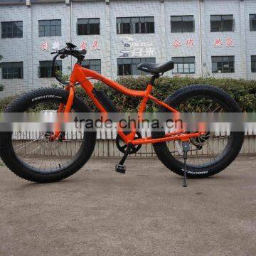 Hot Selling 26 Inch Electric Bike ATV Electric Snow Bike Fat Tire Electric Bike photo-6