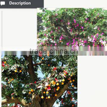 Decorative Artificial Banyan Tree for Sound Wishing Tree photo-2