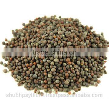 Black Mustard Seed Whole