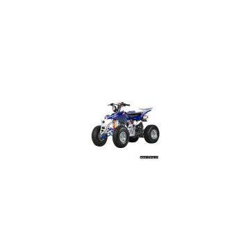 110cc Sports ATV
