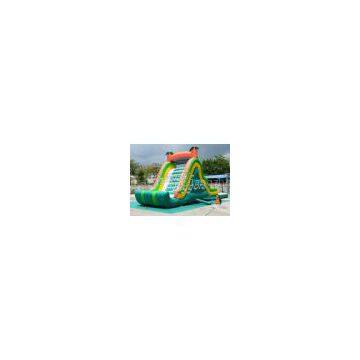 Advertisement Durable Inflatable Amusement Park Water Slide , CE HR4040