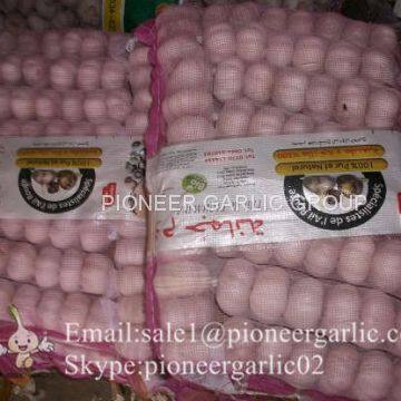 Small Packing 5-5.5cm Fresh Red Garlic Produced In Jinxiang Shandong China photo-2