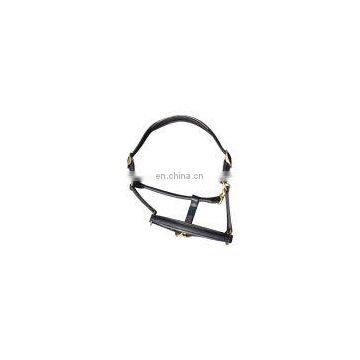 Riding Leather Halter