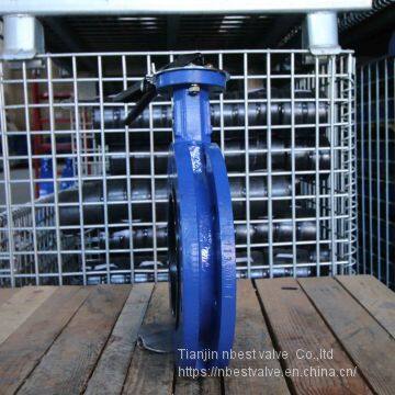 JIS5K/10K U Flange Type Manual Operated EPDM/VITON Seal Lever Butterfly Valve photo-5