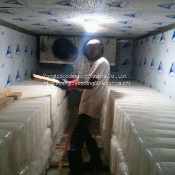 Fish Cold Room