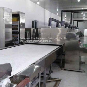 Large microwave drying equipment