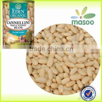 Good price fresh white kidney beans manufactory all kinds of beans from china stair