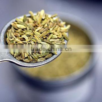 Fennel seeds at your door step