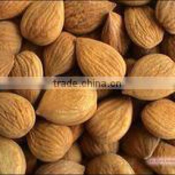 100% pure Sweet almond carrier oil