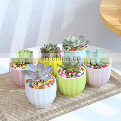 Amazon Garden Creative Succulent Flower Pot Macaron Potted Combination Ceramic Color Flower Pot