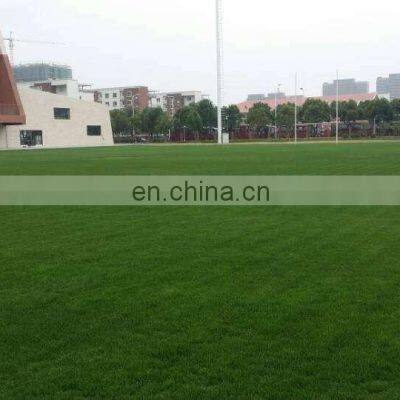 Wholesale Plastic Natural Green Artificial Grass for Court/Park/Garden Decoration photo-5