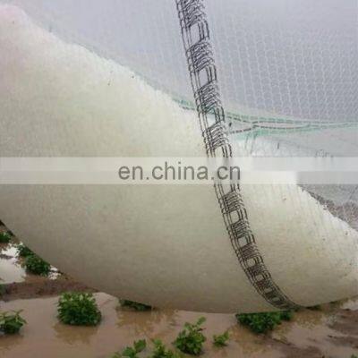 Knitted Agricultural HDPE Anti Hail Net Screenhouse for Plants Protection Fruit Apple Tree With UV 5 Years