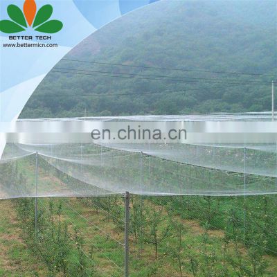 Agriculture Greenhouse White Anti Insect Net  Anti UV Insect Netting