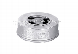 click spring check valve