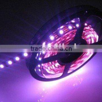 Epoxy Coat + PE Cannula / Waterproof 300pcs 5050 SMD flexible led strip