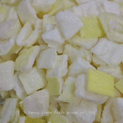 Pure Nature Organic Freeze Dried Onion Distributor photo-3