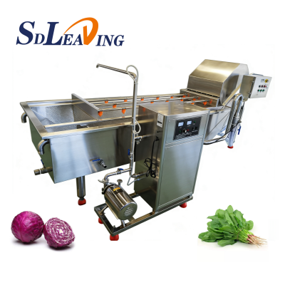 Vegetable and Fruit Washing Machine Bubble Cleaning Cabbage Lettuce Pepper Washer for Vegetable Processing Plants photo-4