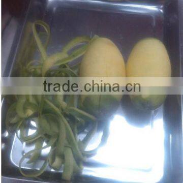 Good Price Pumpkin Peeler/pineapple Peeling Machine/cantaloupe Peeling Machine photo-5