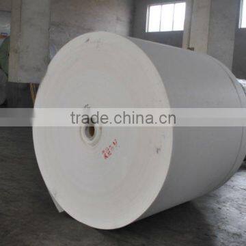 Nonwoven Polyester Fabric in Asphalt Shingles photo-2