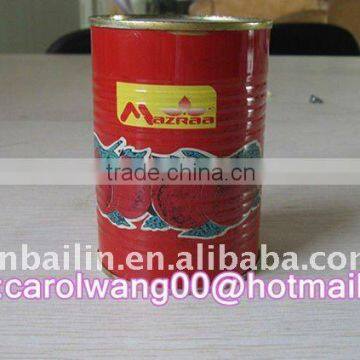 normal lid 400gm tomato paste for yemen