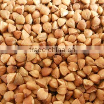 ROASTED BUCKWHEAT