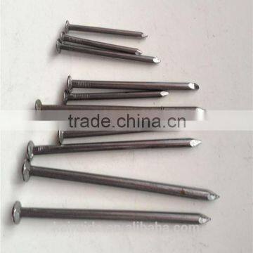 High Quality Factory Produce Common Iron Nail With Low Price Fronm /common Iron Wire Nail photo-5