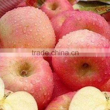 2014 grade 1 chinese fresh fuji apple is available!!!best quality but lowest price.